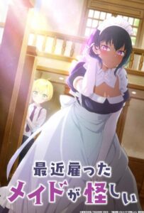 Моя новая горничная очень подозрительна Смотреть Все Серии Подряд Без Цензуры